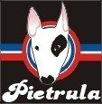 Emblemat u�ytkownika Pietrula