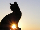 Emblemat u�ytkownika LadyM