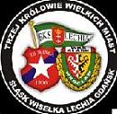 Emblemat u�ytkownika salamandra