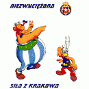 Emblemat u�ytkownika navi