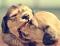Emblemat u�ytkownika better_than_you
